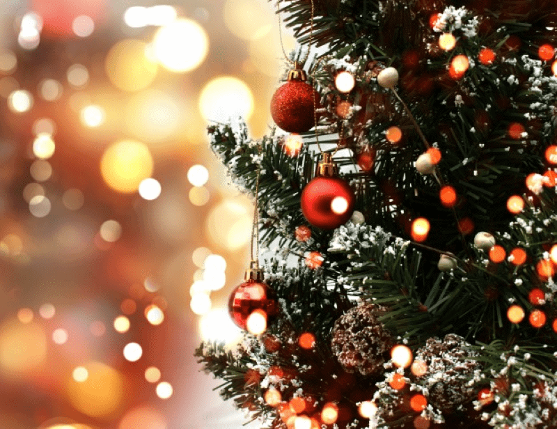 Experience the Magic of Christmas with our Exquisite 7 Foot Artificial Christmas Trees